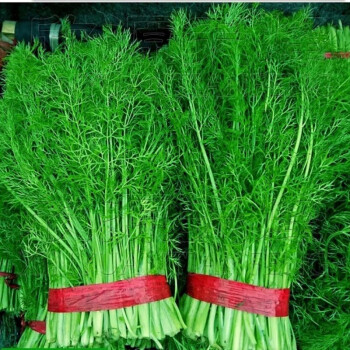 ����鿴��Ʒ:����  �����