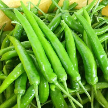 ����鿴��Ʒ:����  ����