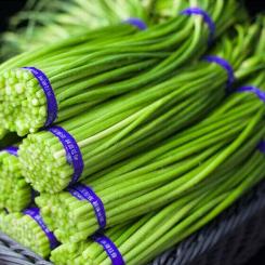 ����鿴��Ʒ:���  ��̦