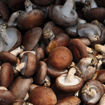 ����鿴��Ʒ:����  �㹽