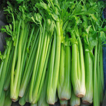 ����鿴��Ʒ:���� �۲�