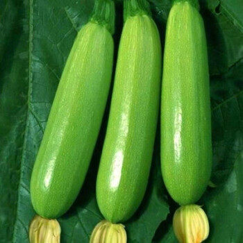 ����鿴��Ʒ:����«