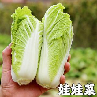 ����鿴��Ʒ:���޲�