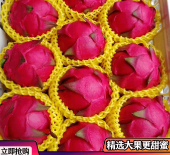 ����鿴��Ʒ:���� ������