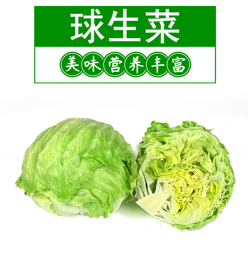 ����鿴��Ʒ:����  ������