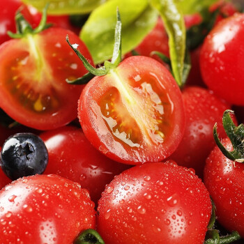 ����鿴��Ʒ:ʥŮ�� ǧ�� ������