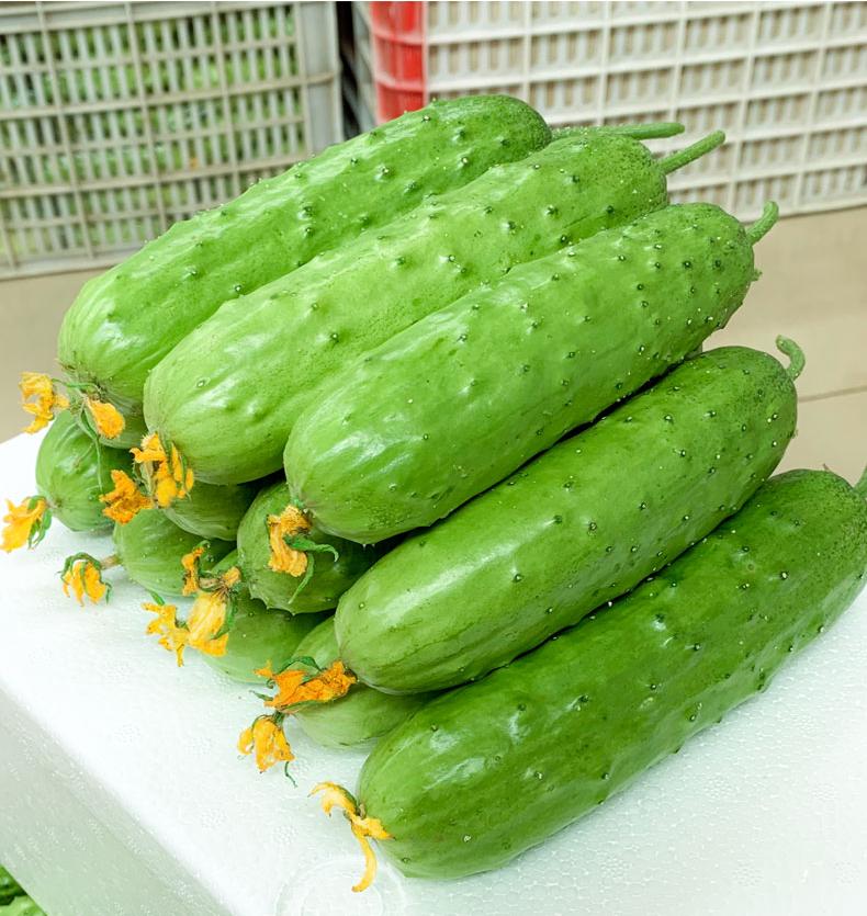 ����鿴��Ʒ:��ƹ�