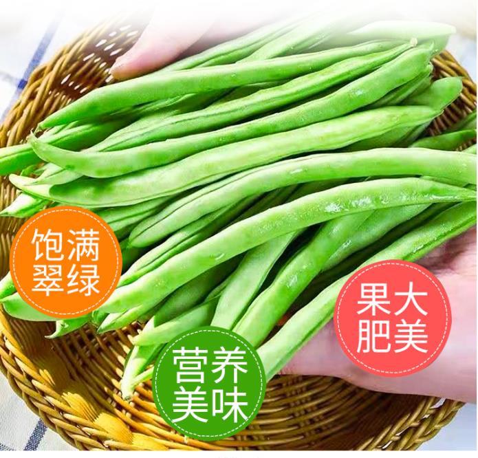 ����鿴��Ʒ:����  �ļ���