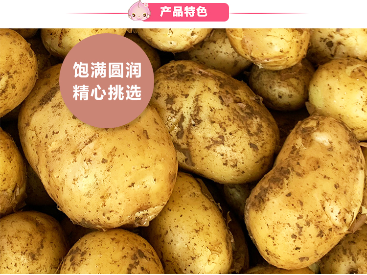 ����鿴��Ʒ:����  ������