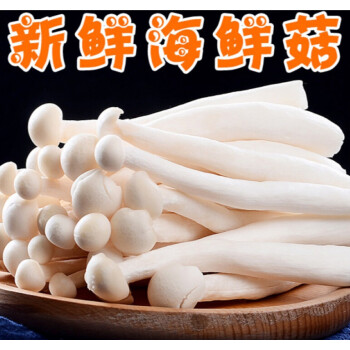 ����鿴��Ʒ:���ʹ�