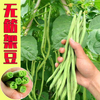 ����鿴��Ʒ:��˿����