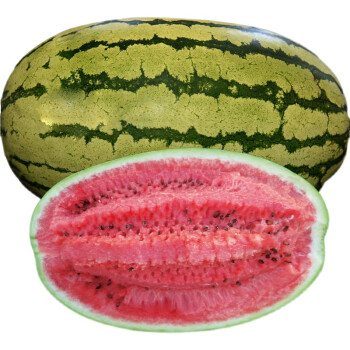 ��ɰ�� ����