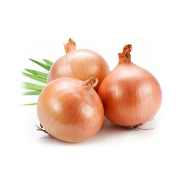 ����鿴��Ʒ:���ͷ ��Ƥ